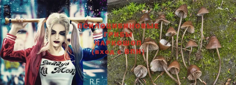 Галлюциногенные грибы MAGIC MUSHROOMS  купить   это клад  Верещагино 