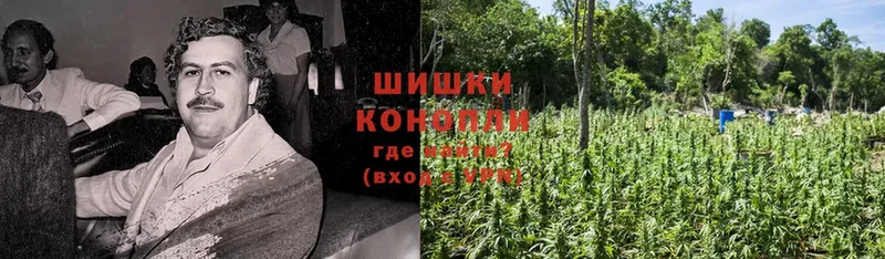 Каннабис OG Kush  MEGA зеркало  Верещагино  где купить  